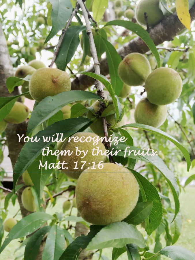peaches with text
