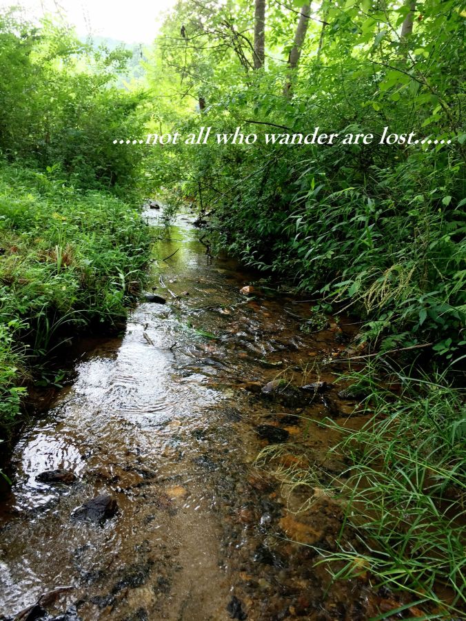 stream pic (2) with text